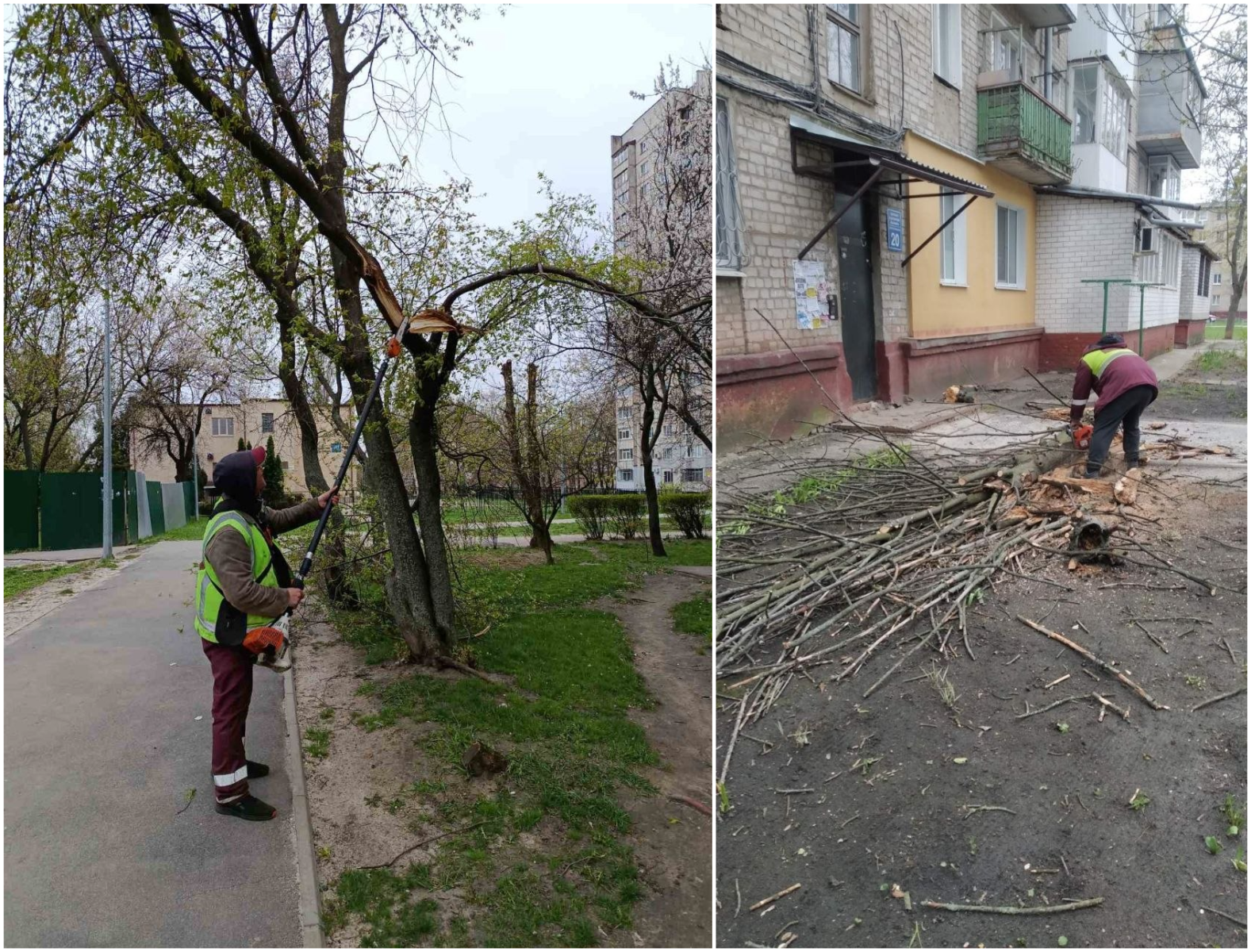 Впали та поламані десятки дерев через буревій у місті: Новини Харкова
